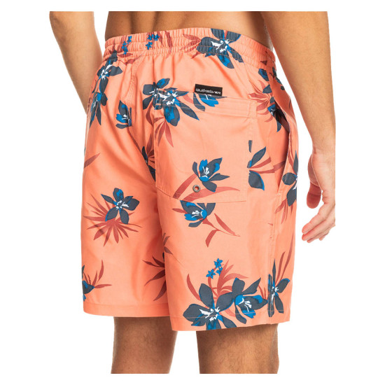 Quiksilver Ανδρικό μαγιό Everyday Mix 17" - Swim Shorts for Men